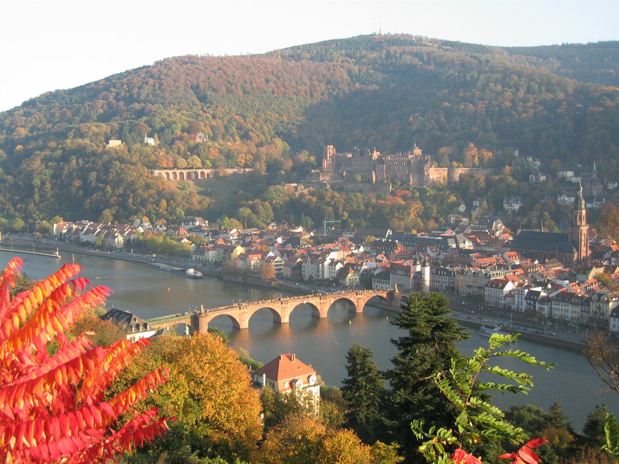 Wohlfuehl-Hotel Neu Heidelberg Extérieur photo